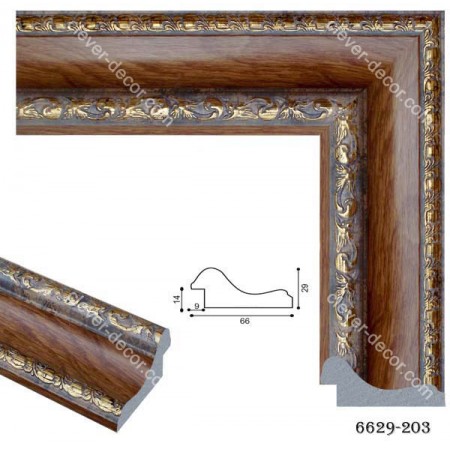6629-203 Moulding