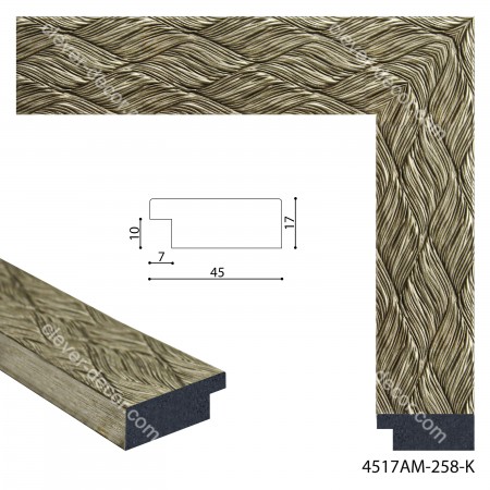 4517AM-258-K Moulding